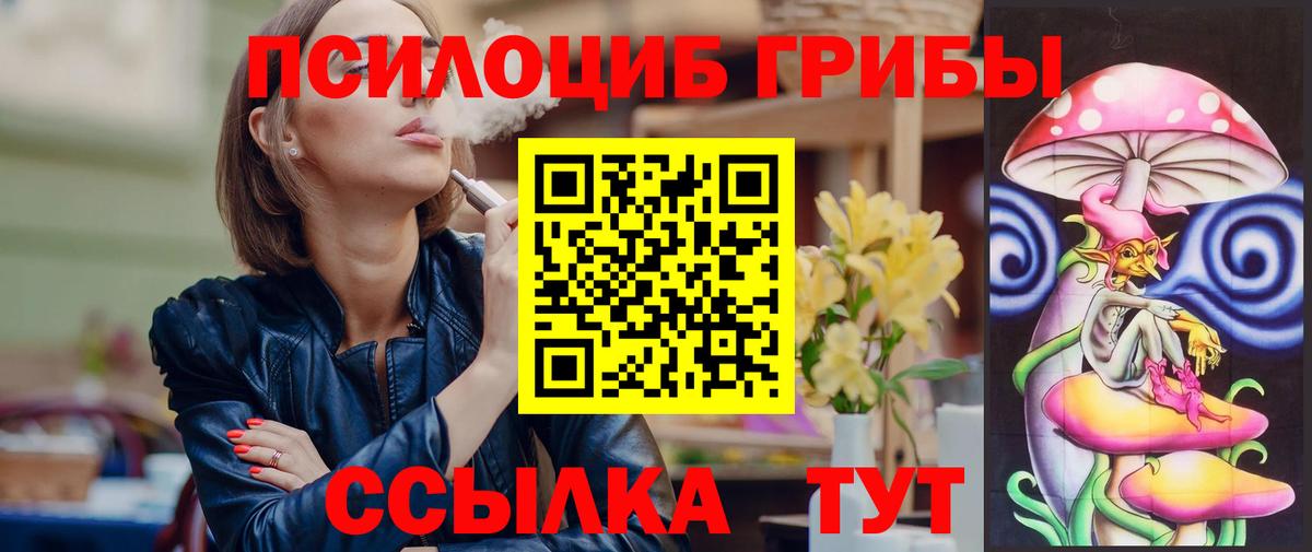 Псилоцибиновые грибы мицелий  Вход с VPN  Сердобск 